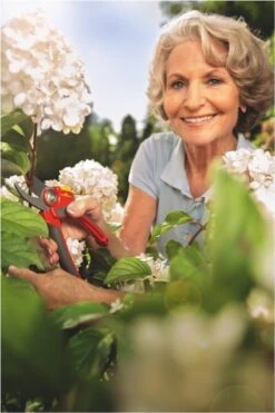 WOLF-Garten Snoeischaar "Premium Plus" RR 4000 - Max. Knipdiameter 22 Mm - Links- En Rechtshandige - Softinleg Handgreep - Snijhoek 30° - Voor Grote Handen - Vervangbare Messen 23 WOLF-Garten Snoeischaar "Premium Plus" RR 4000 - Max. Knipdiameter 22 Mm - Links- En Rechtshandige - Softinleg Handgreep - Snijhoek 30° - Voor Grote Handen - Vervangbare Messen -Tuingereedschaps winkel 800x1200 8