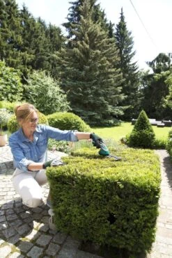 Bosch ISIO Gen III Accu Buxusschaar + Grasschaar -Tuingereedschaps winkel 800x1200 9