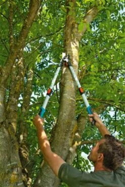 Gardena TeleCut Takkenschaar 650-900 B - Uitschuifbare Armen - Tot Max 90 Cm 26 Gardena TeleCut Takkenschaar 650-900 B - Uitschuifbare Armen - Tot Max 90 Cm -Tuingereedschaps winkel 801x1200 1