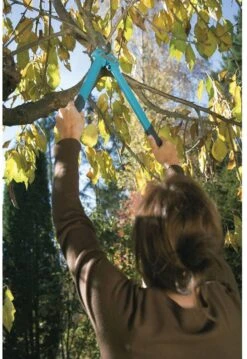 GARDENA Comfort 500 BL Takkenschaar - Max Knipdiameter 35 Mm 16 GARDENA Comfort 500 BL Takkenschaar - Max Knipdiameter 35 Mm -Tuingereedschaps winkel 825x1200 8