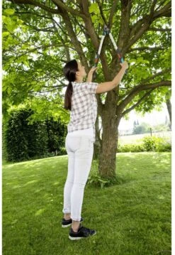 GARDENA - TeleCut Telescopische - Takkenschaar 520-670B - 42 Mm Verstelbare Lengte -Tuingereedschaps winkel 826x1200 1