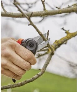 GARDENA - ExpertCut - Snoeischaar - 22 Diameter Tak 35 GARDENA - ExpertCut - Snoeischaar - 22 Diameter Tak -Tuingereedschaps winkel 999x1200 1